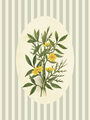 Image Not Available